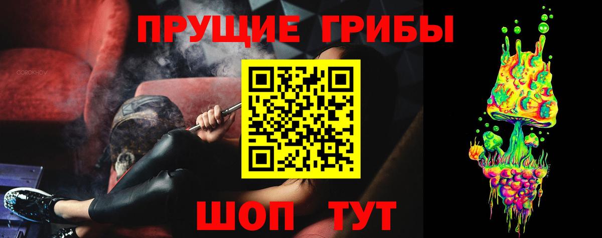 Нарткала  Псилоцибиновые грибы Psilocybe  Вход с VPN 