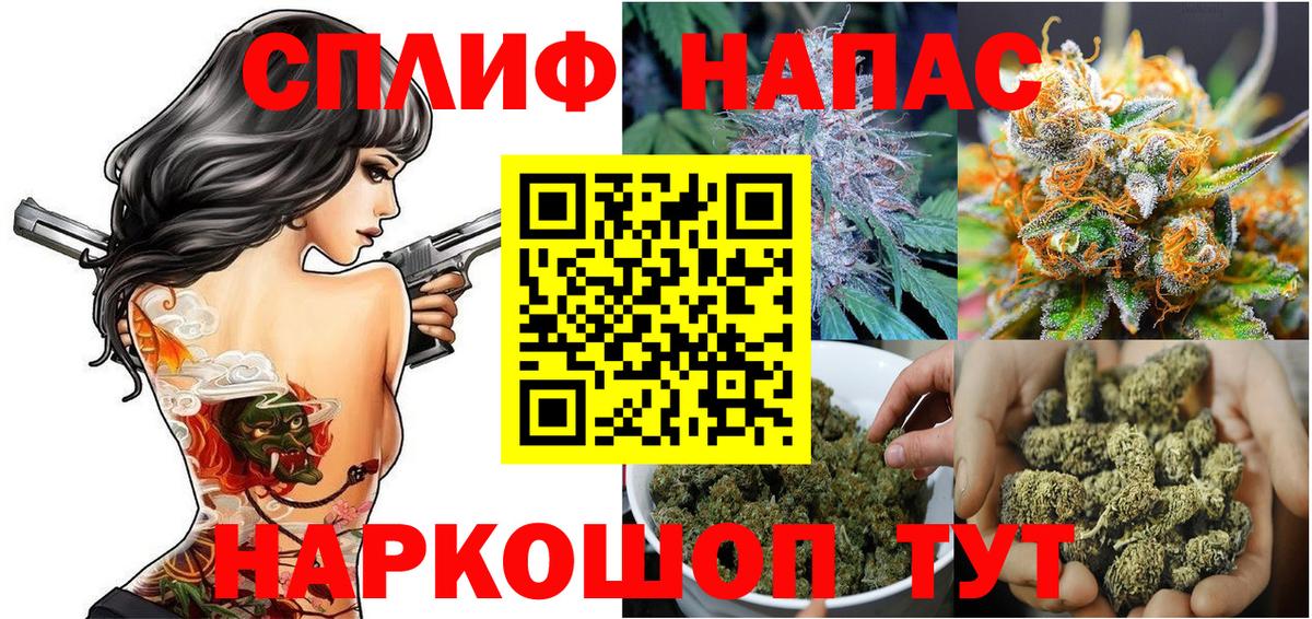 Марихуана конопля Нарткала